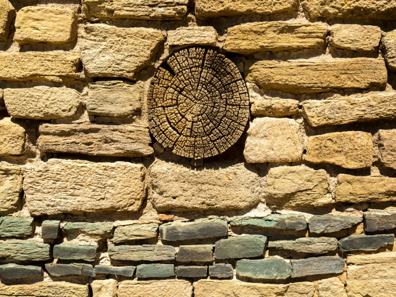 "Close-up of a wall at Aztec Ruins National Monument, featuring irregular tan-colored stones, a section of greenish-gray stones at the base, and a cross-section of an ancient wooden beam with visible growth rings, showcasing the rustic and historical character of the ruins."