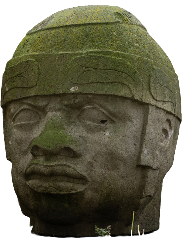 An Olmec colossal head, a monumental basalt sculpture representing a powerful Olmec ruler. The statue, with its distinct, naturalistic features, symbolizes the artistry and authority of the ancient Olmec civilization, which predated the Aztecs by 2000 years.