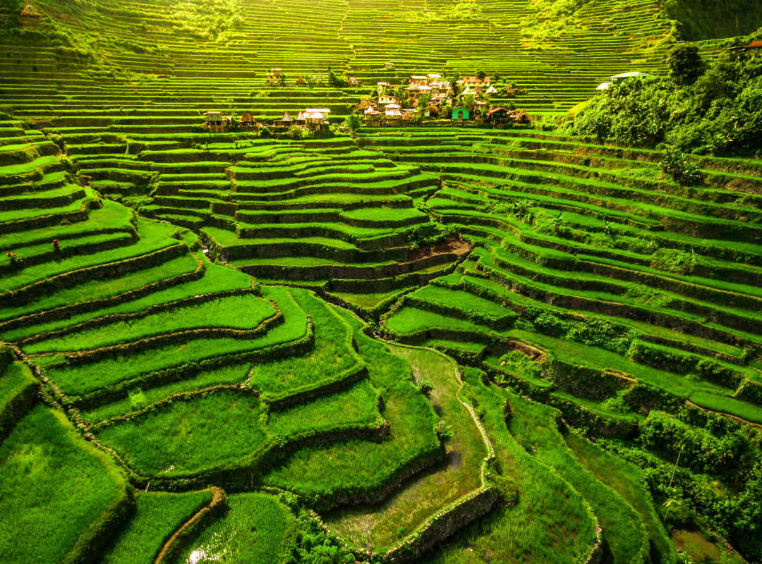 world landmark -Emerald-green Banaue Rice Terraces carved into Philippine Cordillera mountains