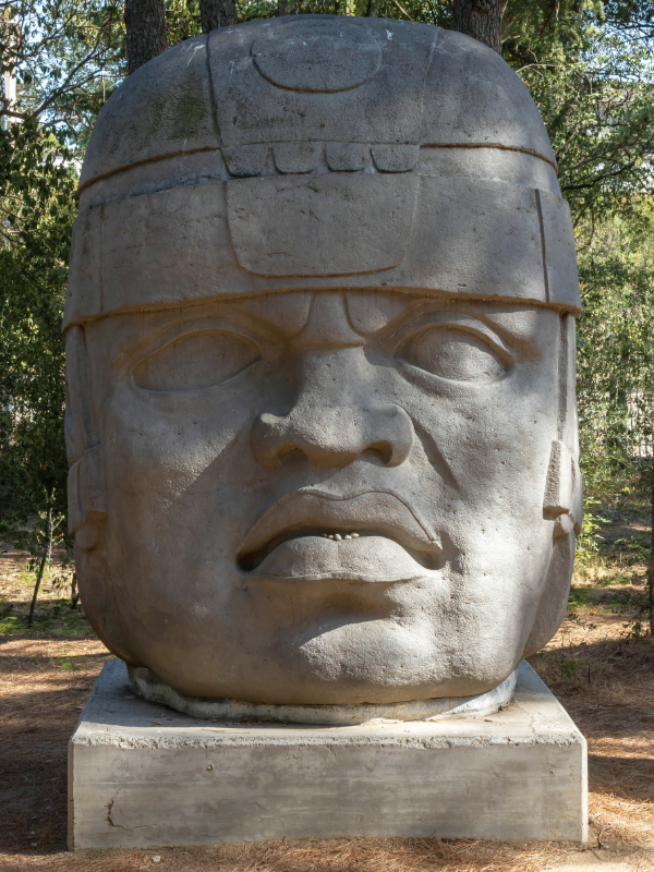 An Olmec colossal head, a monumental stone sculpture representing a powerful Olmec ruler or elite. The statue, carved from basalt, features intricate details and a stoic expression, symbolizing authority and commemorating their legacy.