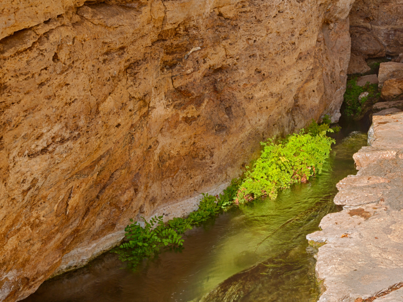 "A section of the Pima Canal in Arizona, (part of Montezuma Well) with water flowing through a rock-lined channel, fringed by greenery such as ferns or algae, showcasing its role in irrigation and riparian habitat restoration."