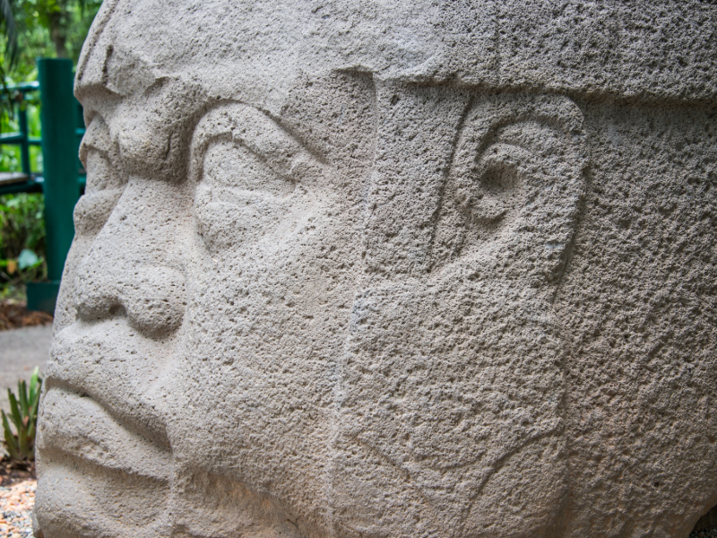 An Olmec colossal head, a monumental stone sculpture representing a powerful Olmec ruler. The statue, with its distinct features and symbolic headdress, reflects the authority, power, and spiritual significance of the ancient Olmec civilization, which predated the Aztecs by 2000 years.