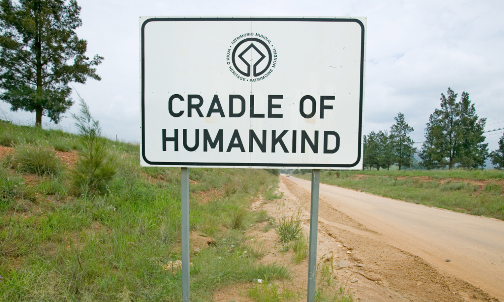 "Weather-worn 'Cradle of Humankind' sign with UNESCO World Provenance Definition: Heritage emblem, showing trilingual labeling (English/Spanish/French) at this South African paleoanthropological site where early hominin fossils were discovered in limestone caves."