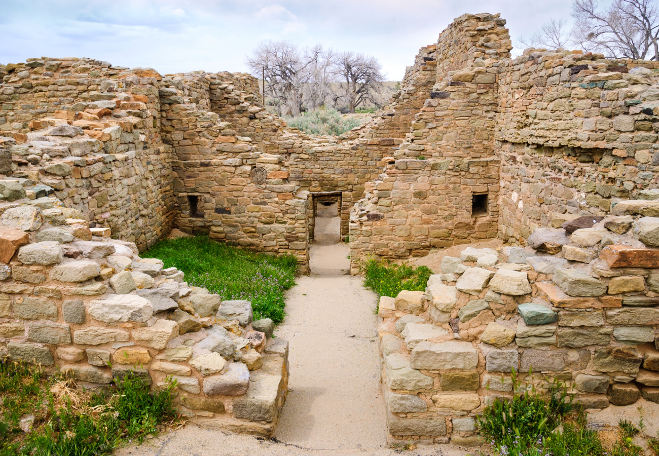 "Ruins of the Aztec Ruins National Monument in New Mexico, featuring ancestral Puebloan structures made of sandstone blocks, including a Great Kiva and multi-story buildings, surrounded by grass and trees."