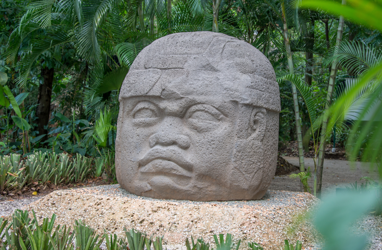 An Olmec colossal head, a monumental stone sculpture representing a powerful Olmec ruler. The statue, carved from basalt, features intricate details and a stoic expression, symbolizing authority and power in ancient Mesoamerica.
