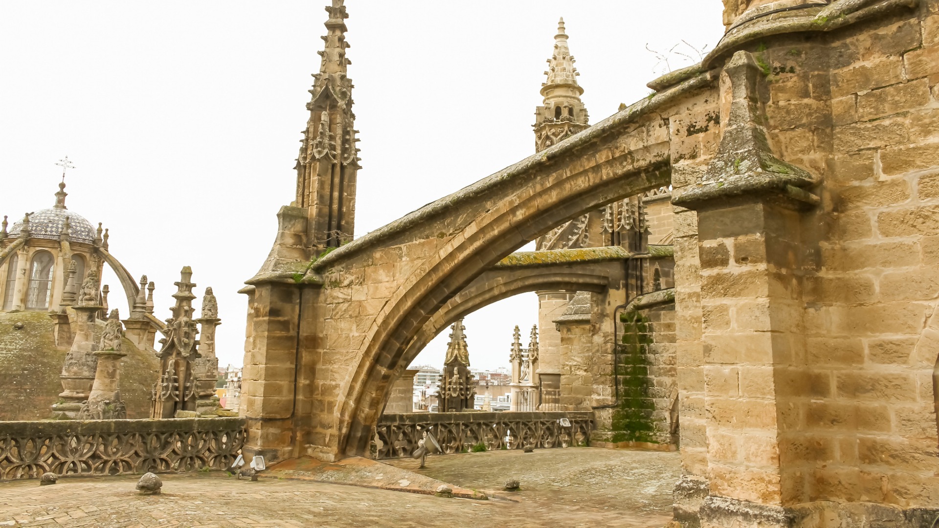 Buttressing