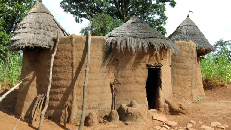 Batammaliba Architecture