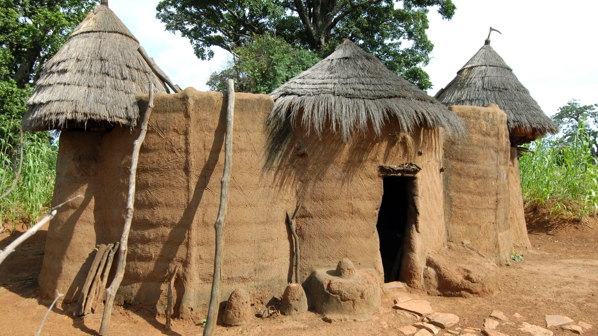 Batammaliba Architecture