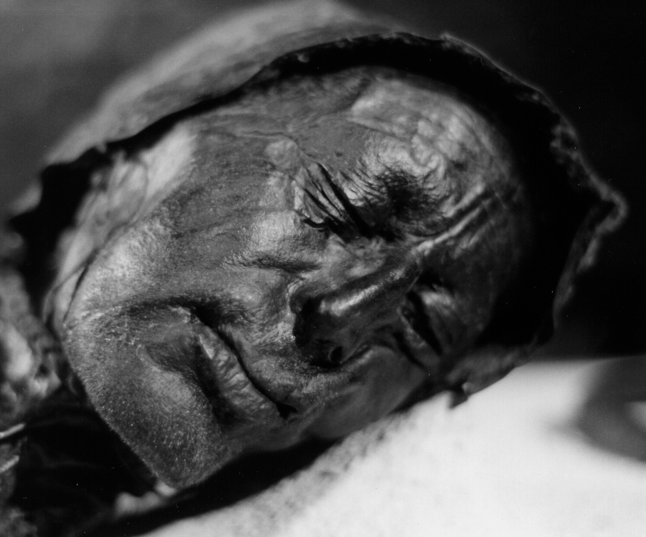 Bog Body