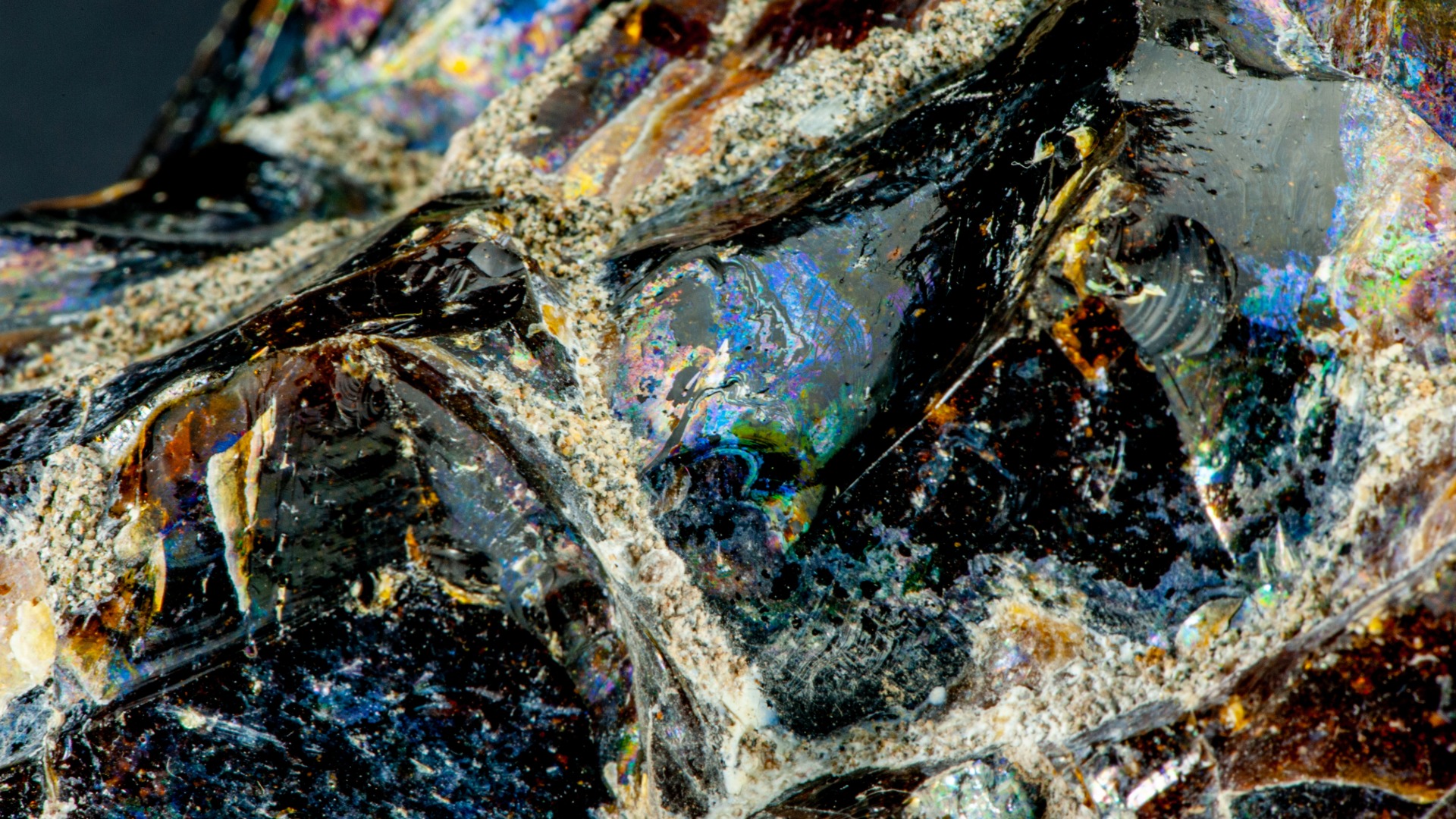 Rainbow Obsidian