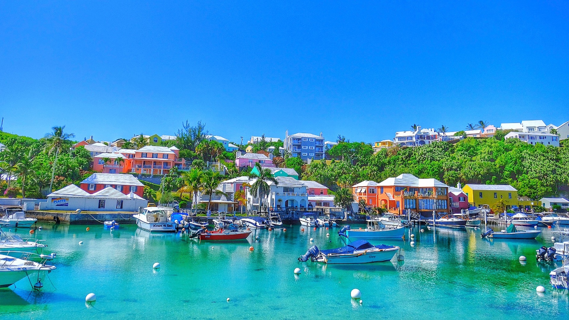  Bermuda