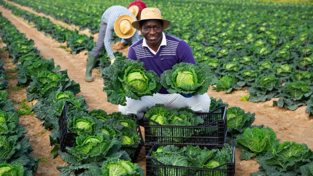 Gabon