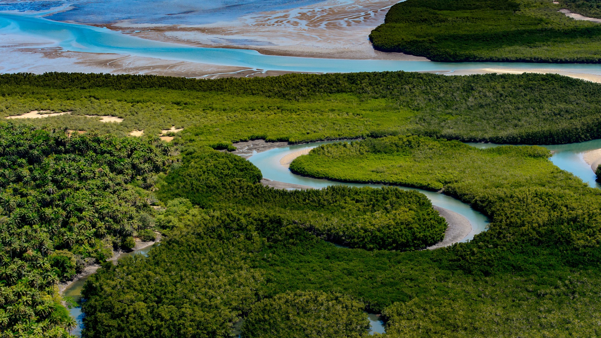 Guinea-Bissau