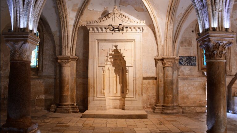 Coenaculum